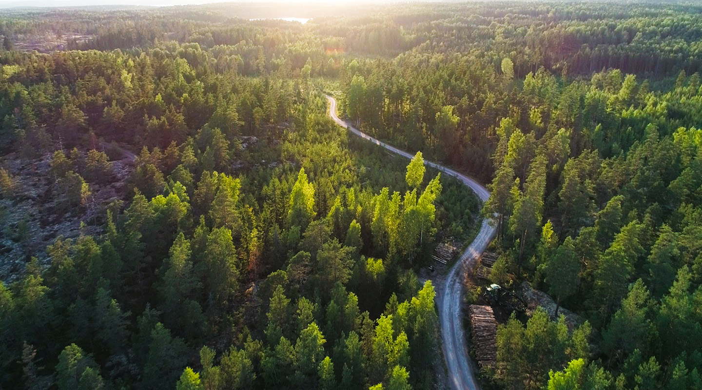 Drönarbild på Sweden Zipline med naturen runt om