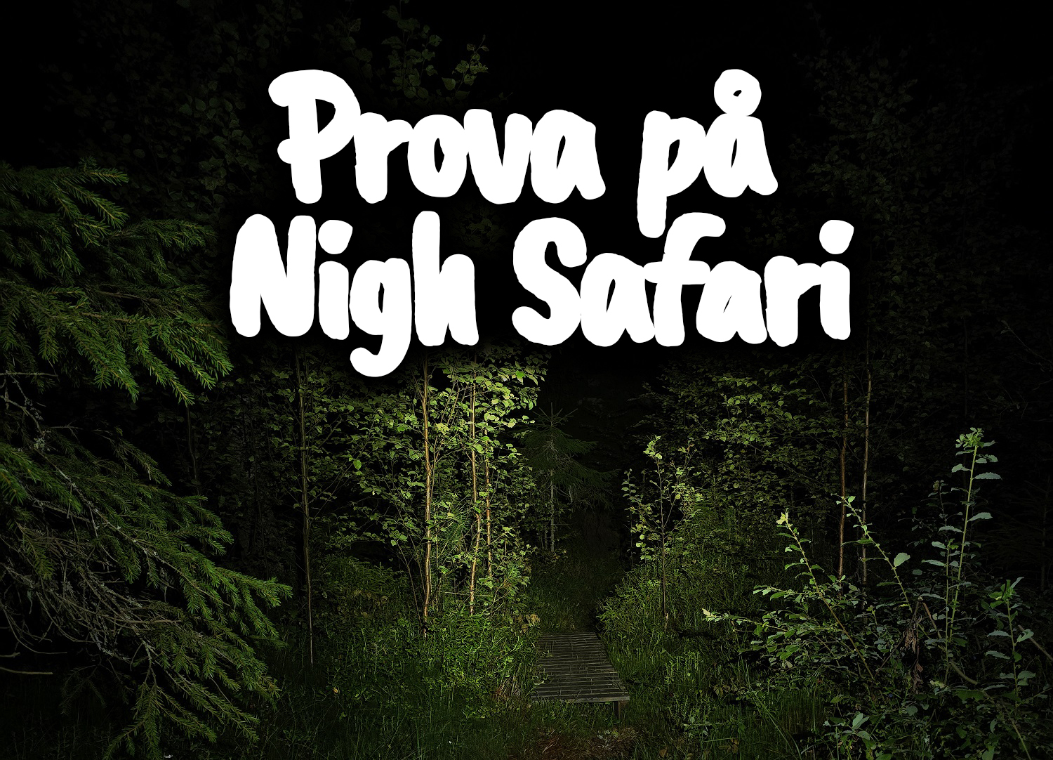 Prova på Night Safari