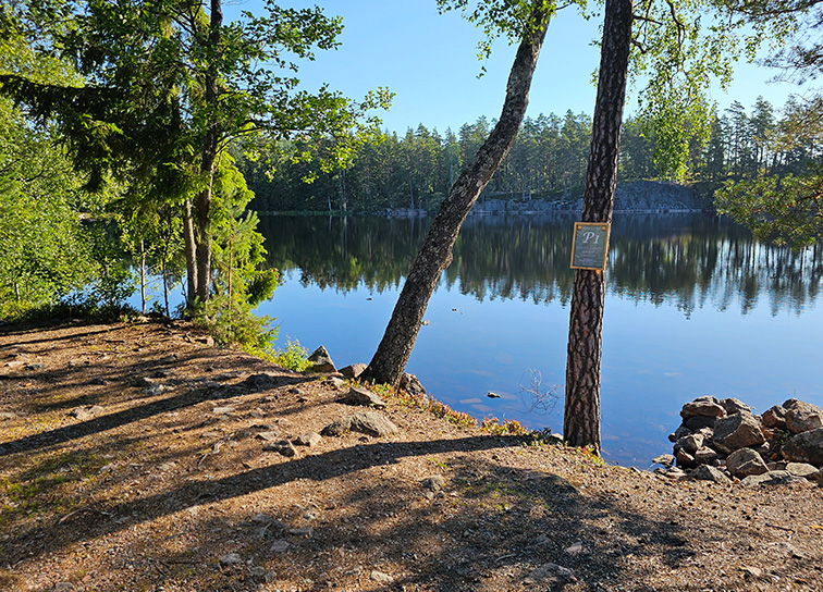 Primitive Campsites with lake view