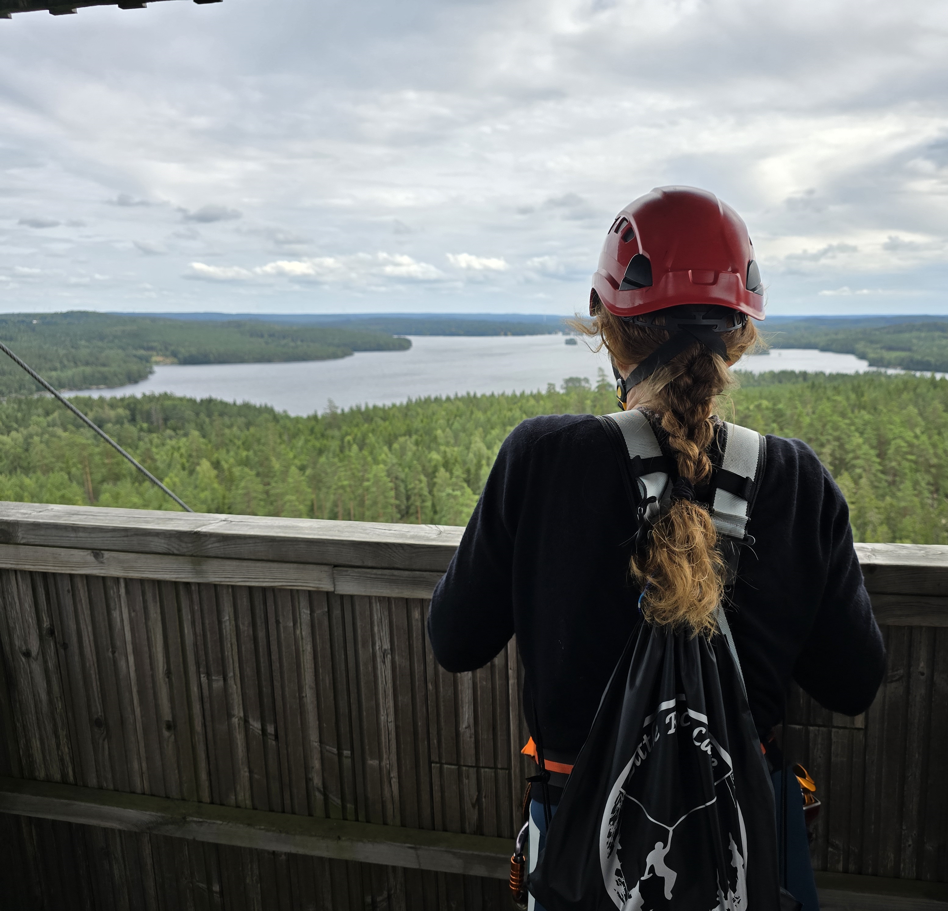 View Småland Lakes and Forest landscape