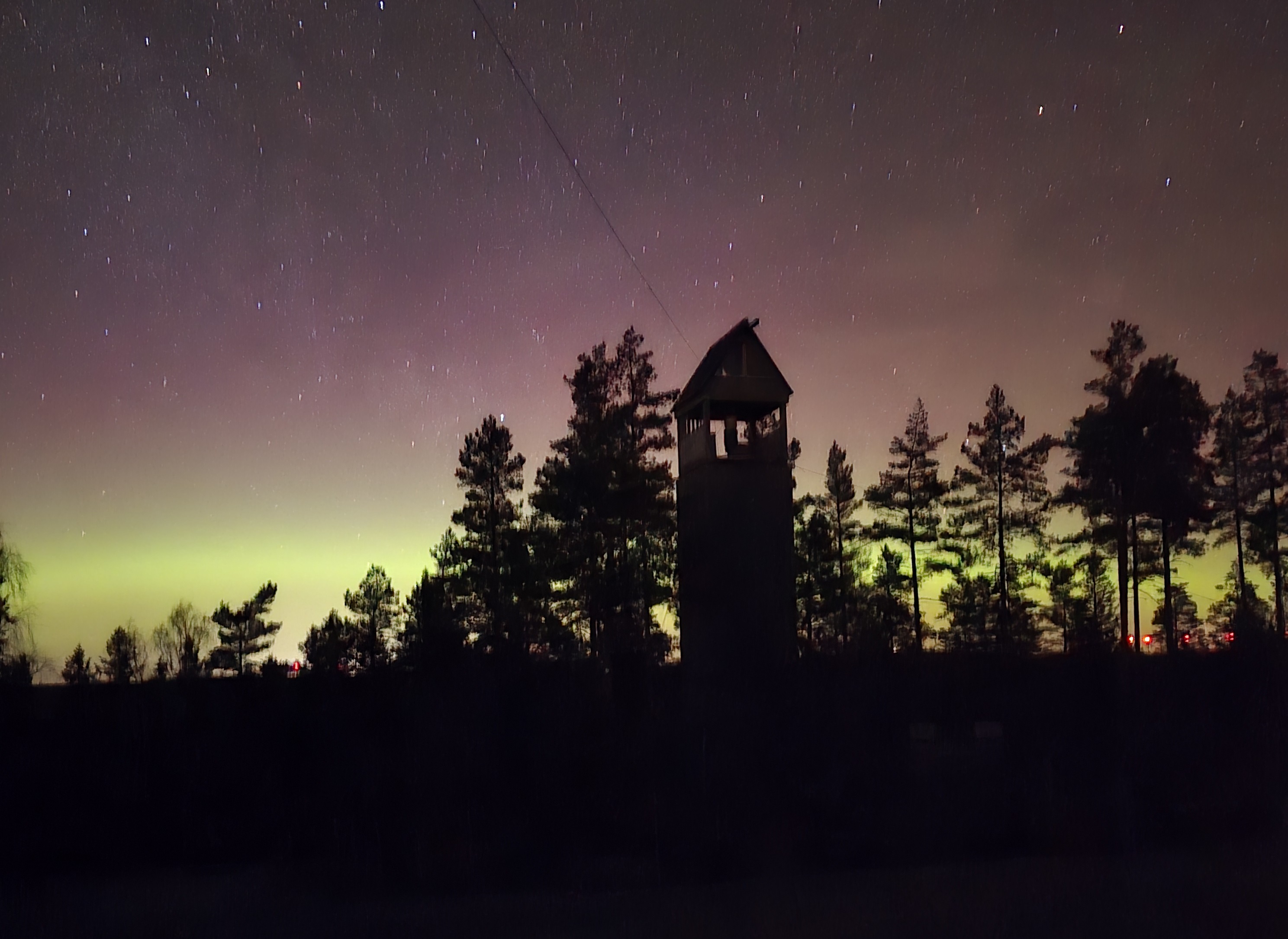 Night Forest